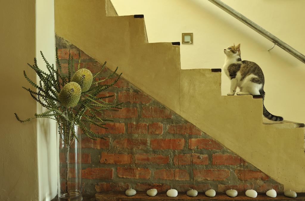 Whalesong Lodge Gansbaai Luaran gambar