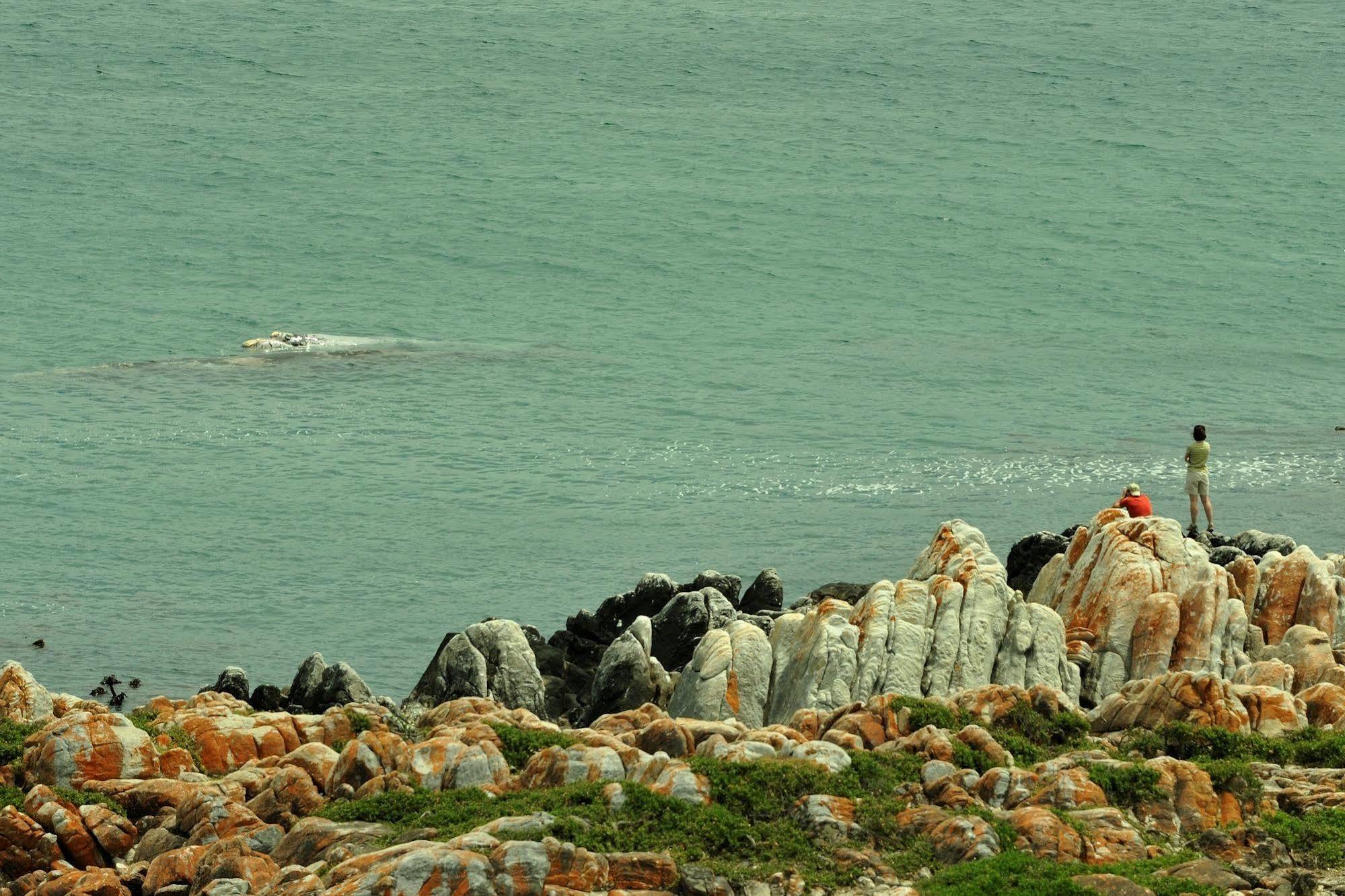 Whalesong Lodge Gansbaai Luaran gambar